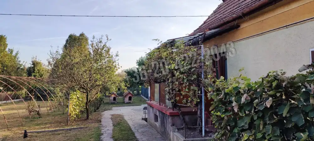 Pest megye - Szigetszentmárton